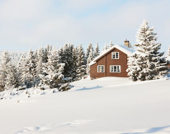 Cabin in winter landscape