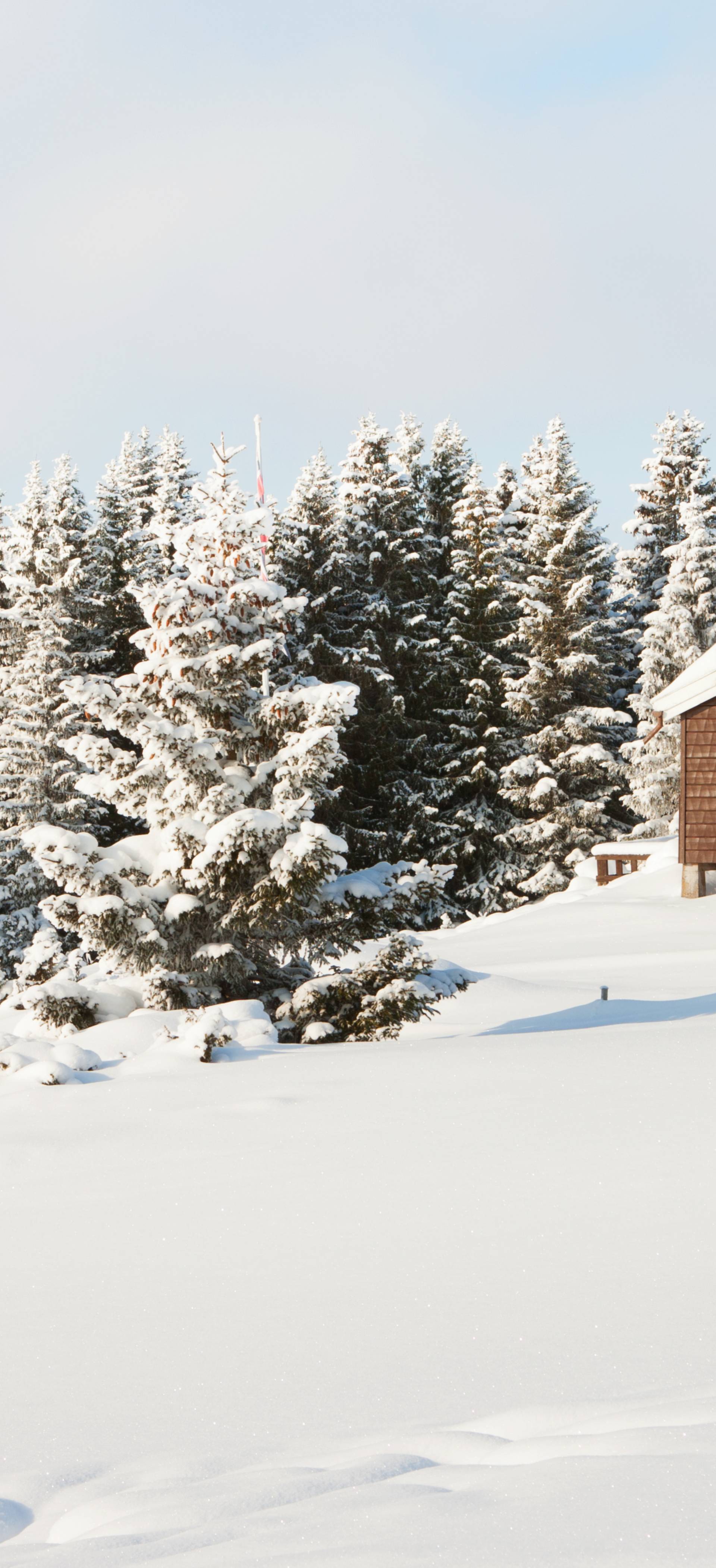 Cabin in winter landscape