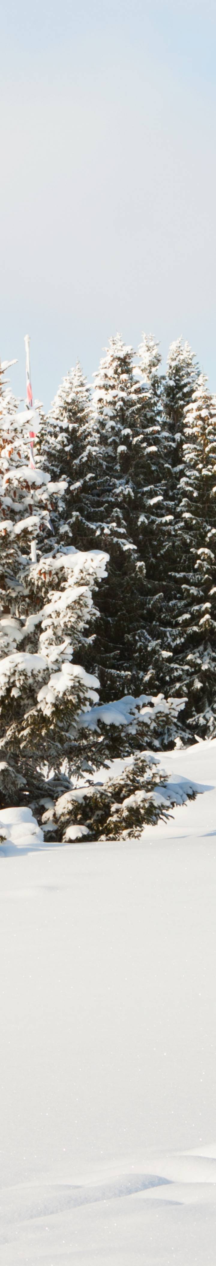 Hytte i vinterlandskap