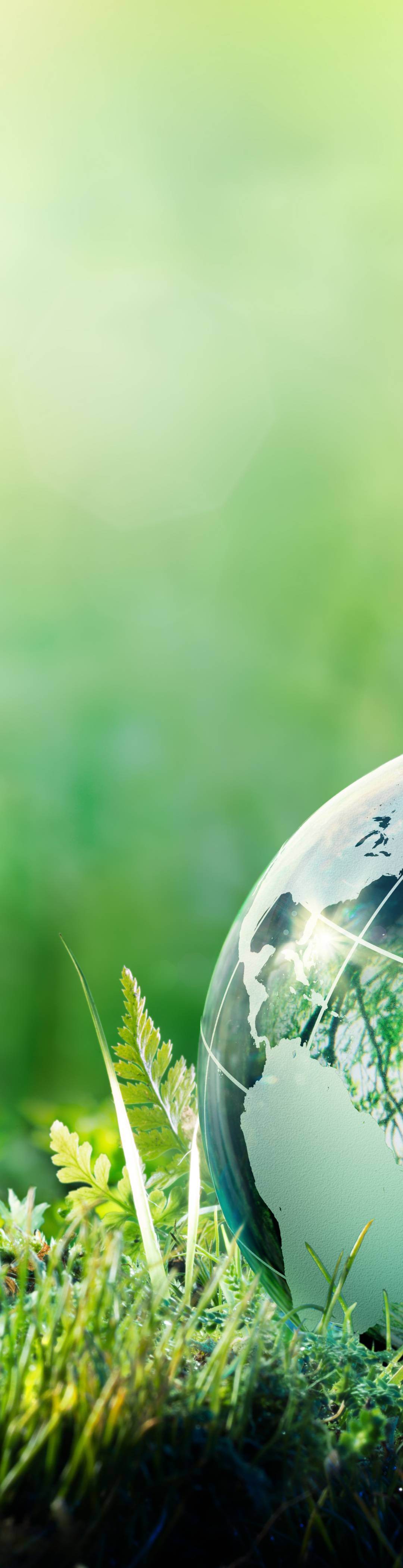 Green globe