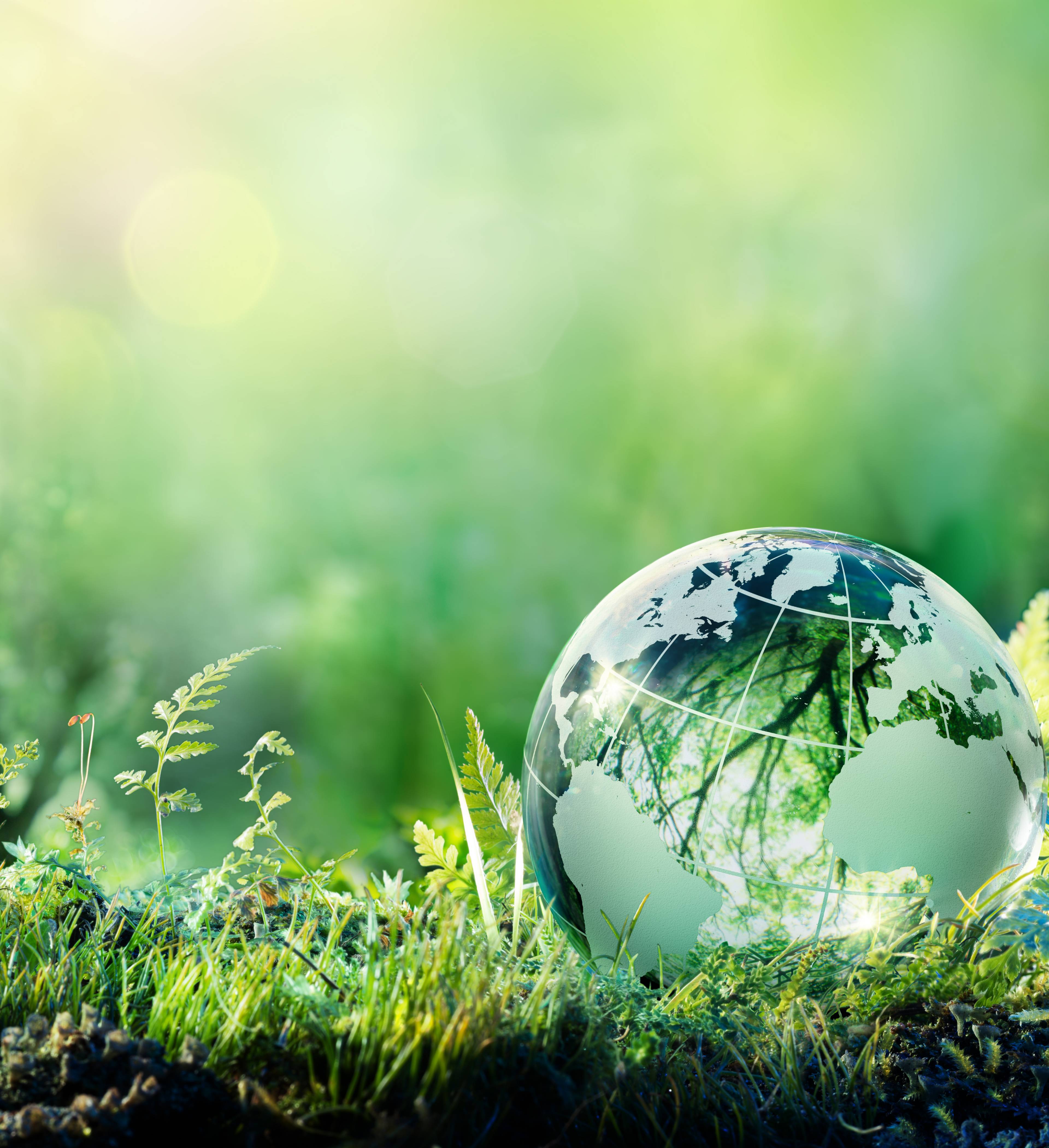 Green planet