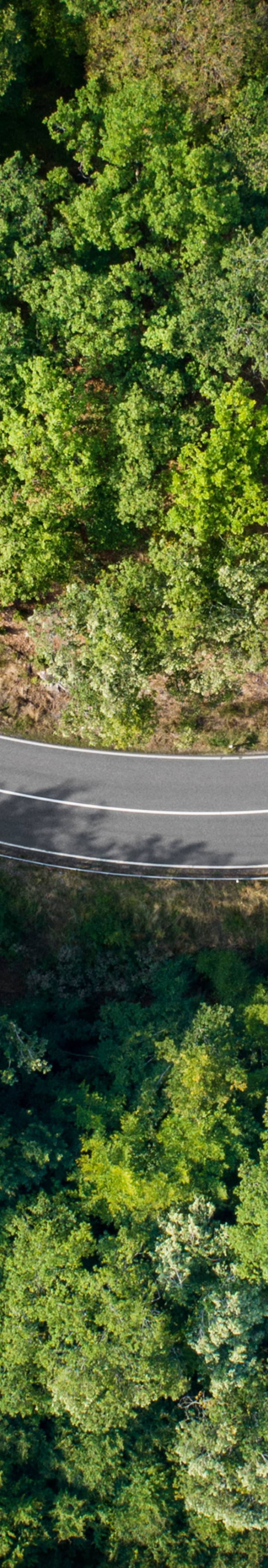 Svingete vei gjennom skogen