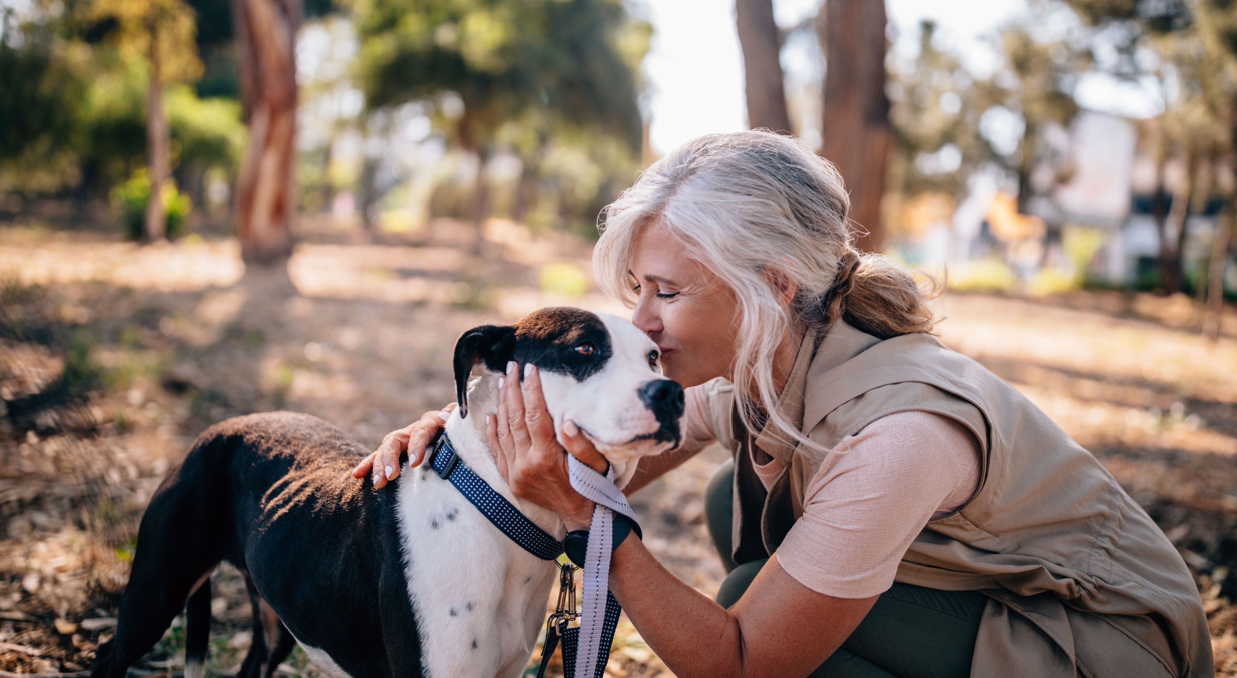sygdom nedenunder Anvendt Hundeforsikring | Fri bruk av videosamtaler med veterinær - DNB