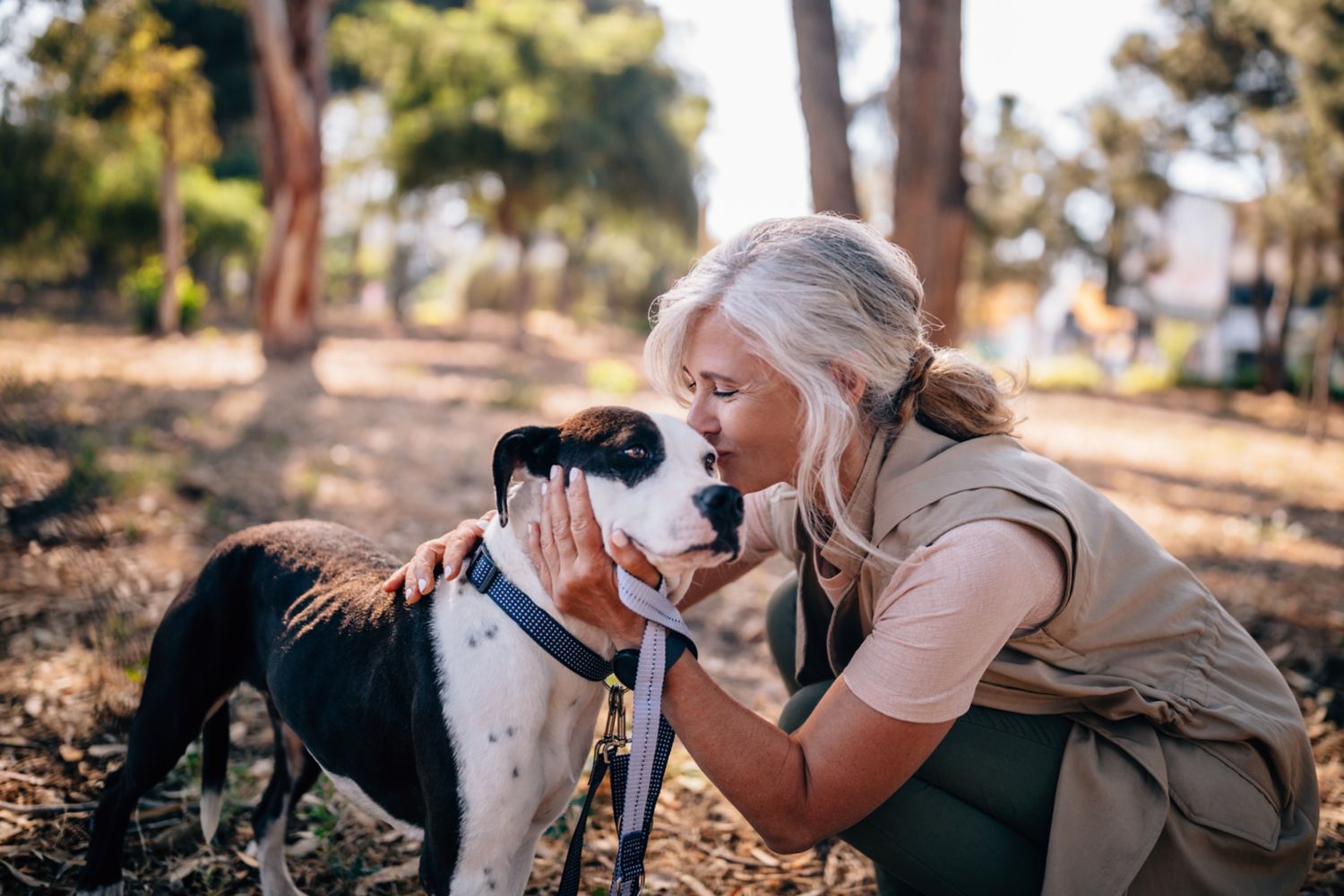 Retired person with dog in the forest.