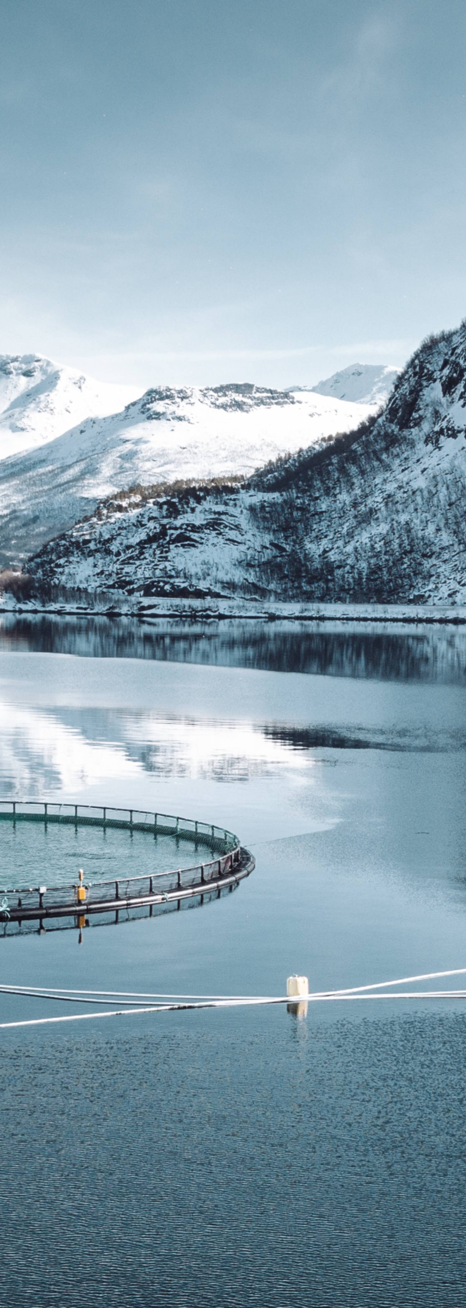 Fish farm
