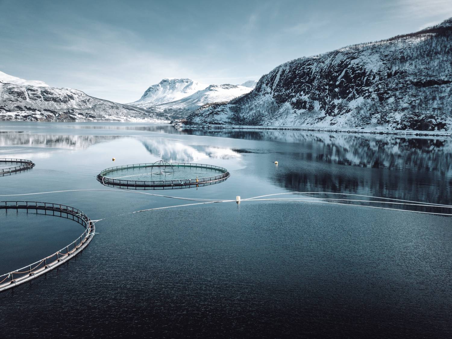 Fish farm