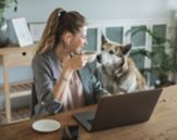 Glad kvinne sitter foran PC-en med en hund. Foto.
