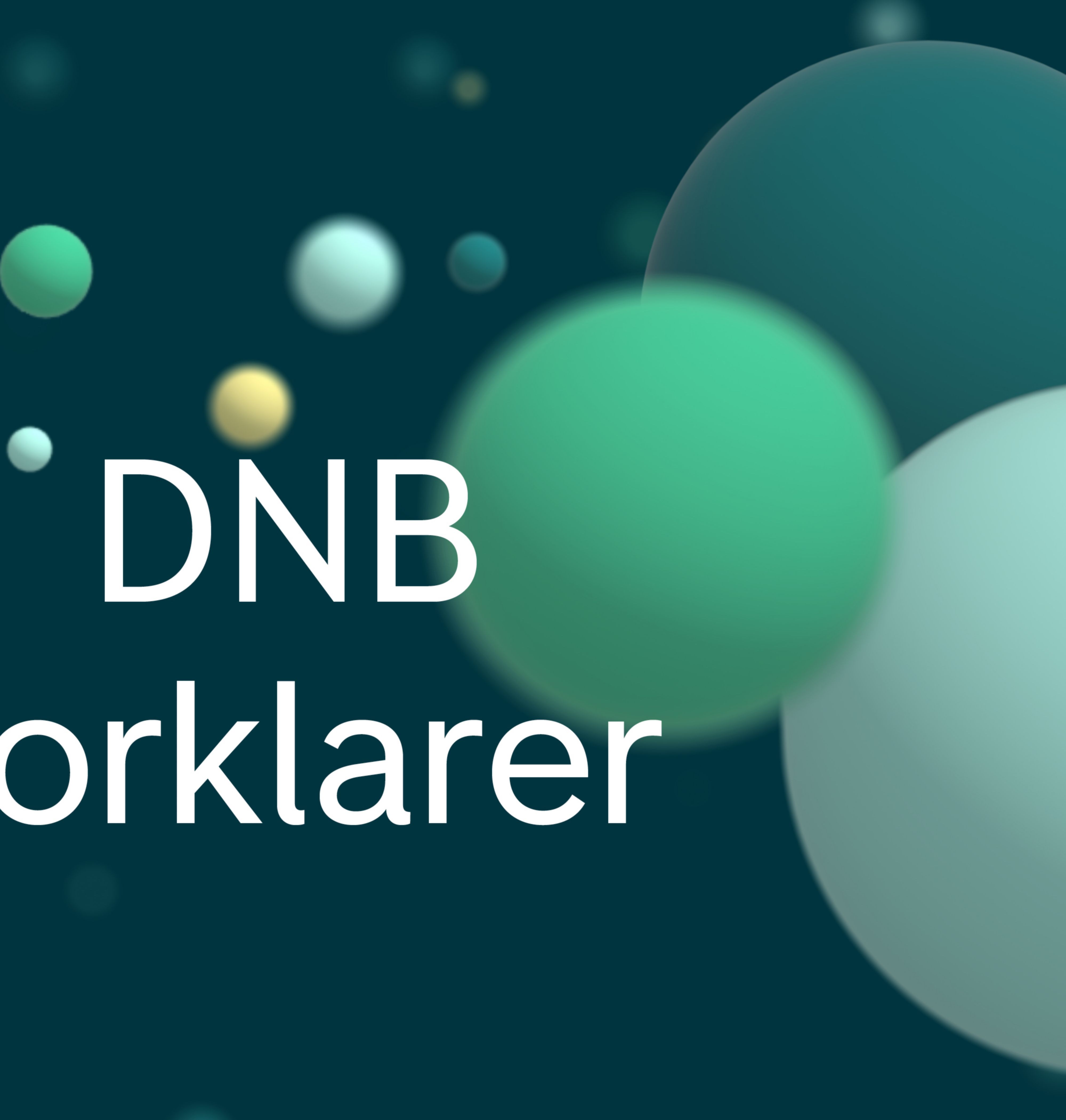 DNB forklarer