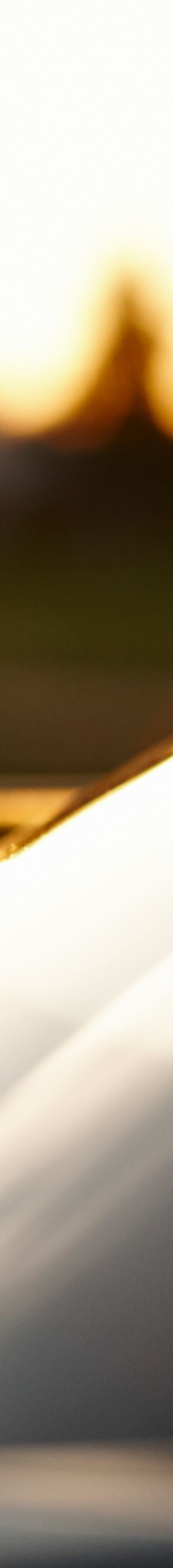 Bilpanser i solnedgang