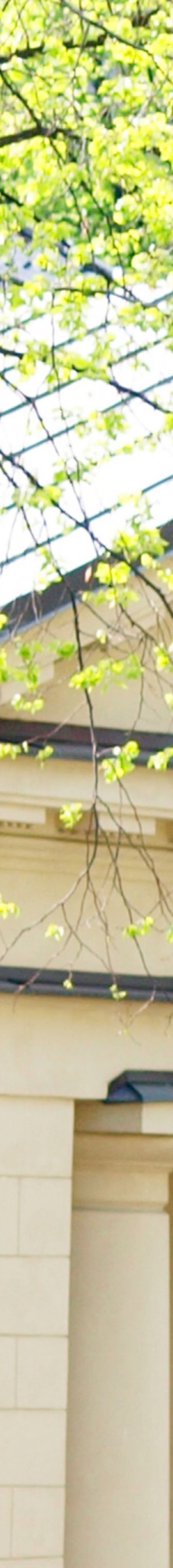 Børsen terningkast seks