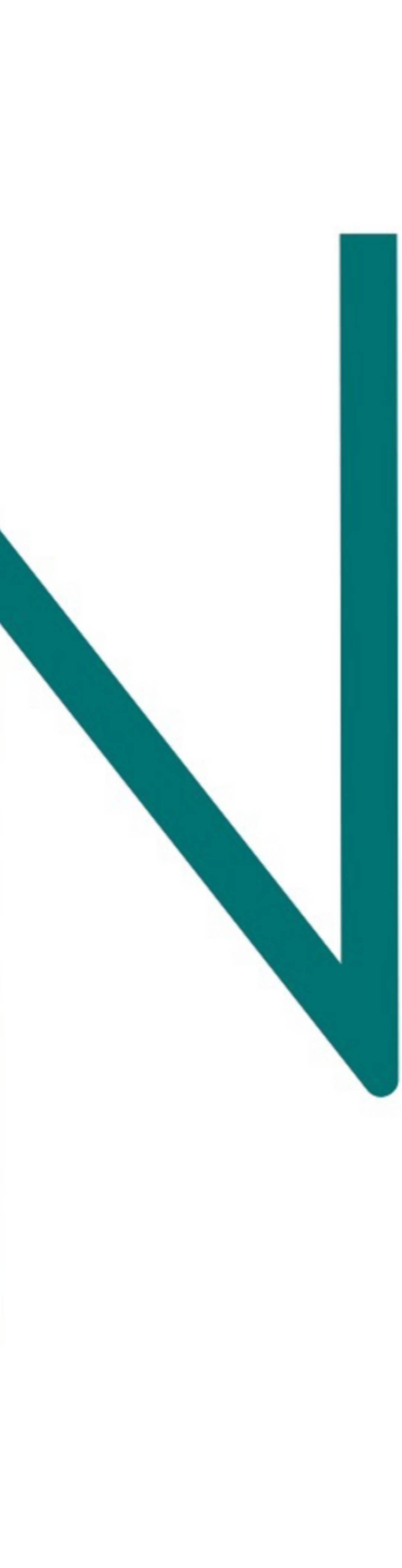DNB logo hvit ramme