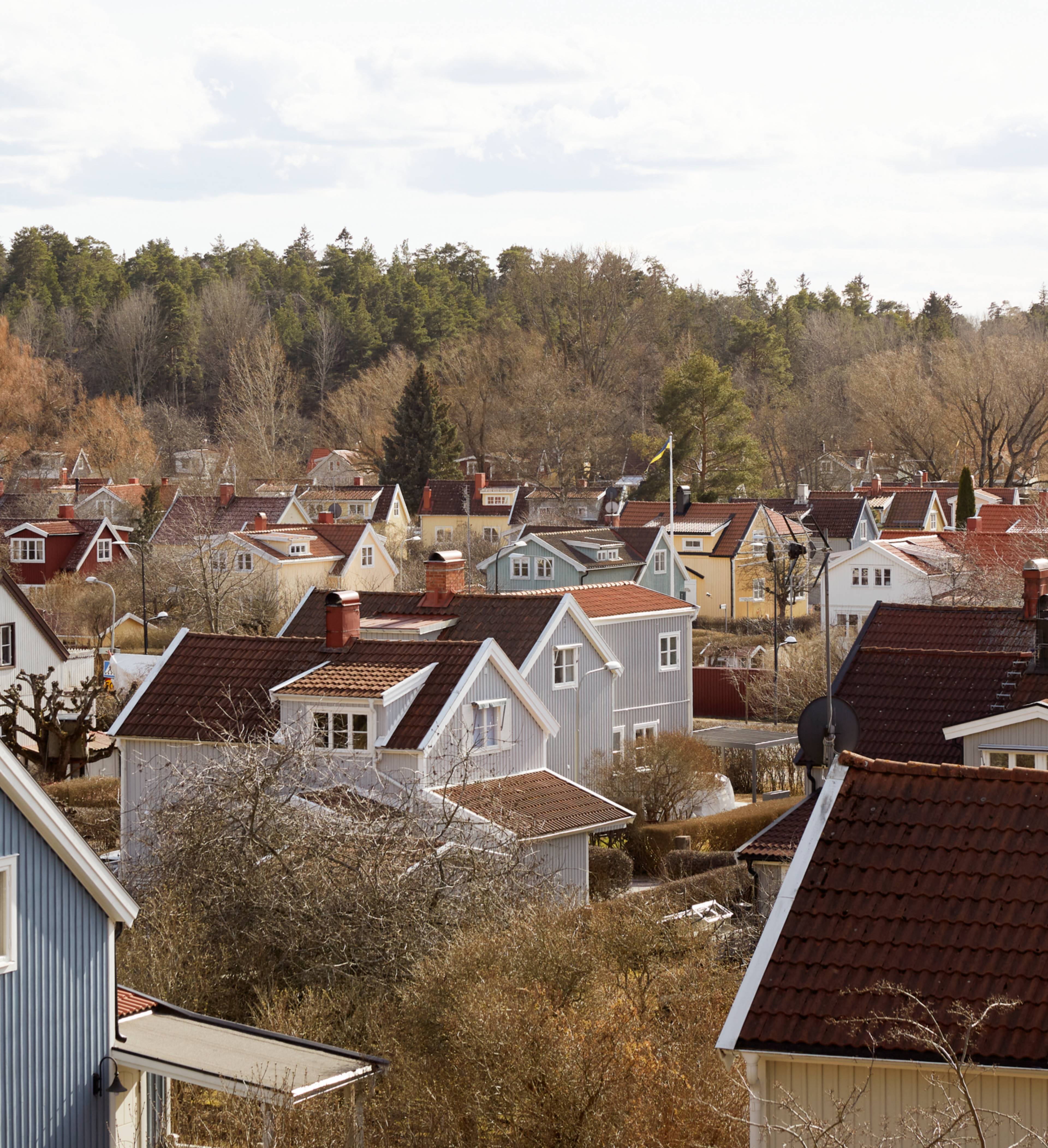 Oversiktsbilde av nabolag med hus