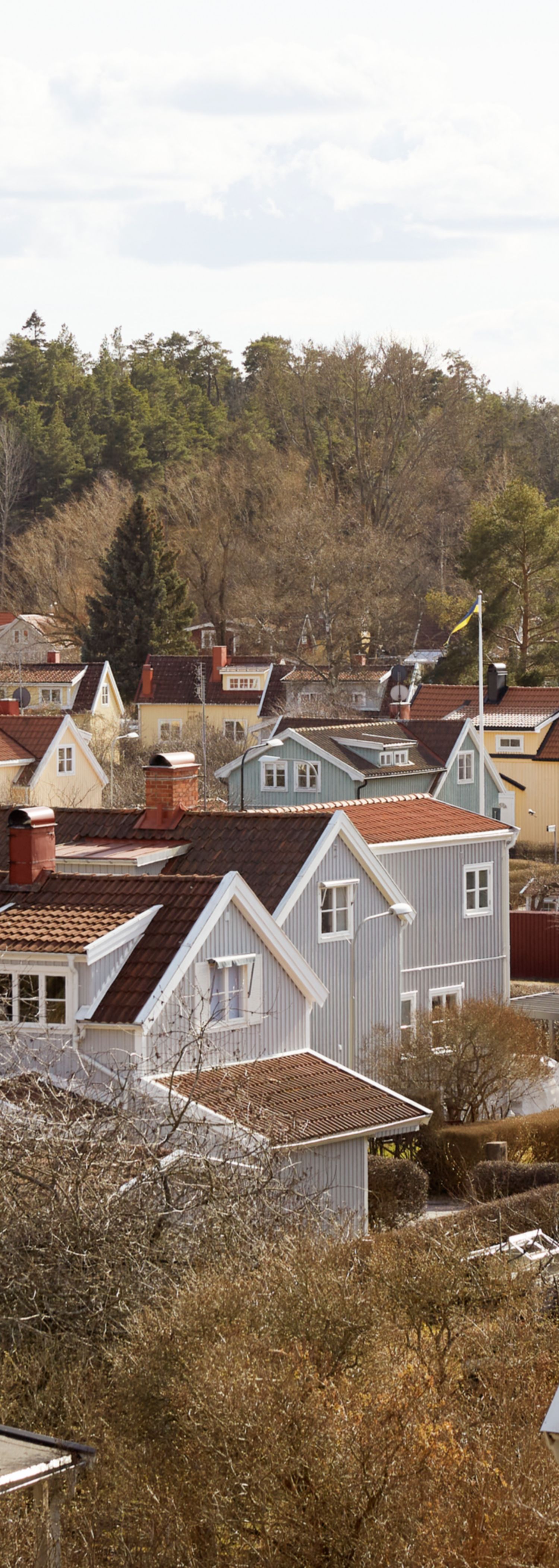 Oversiktsbilde av nabolag med hus