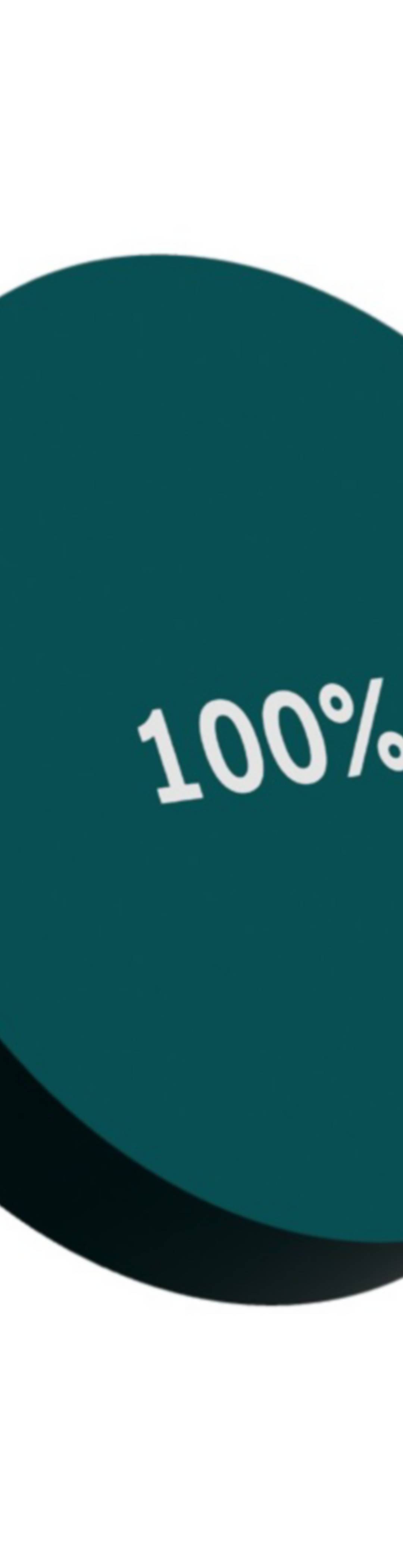 Fond-100prosent