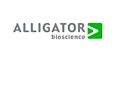 Alligator-500x400