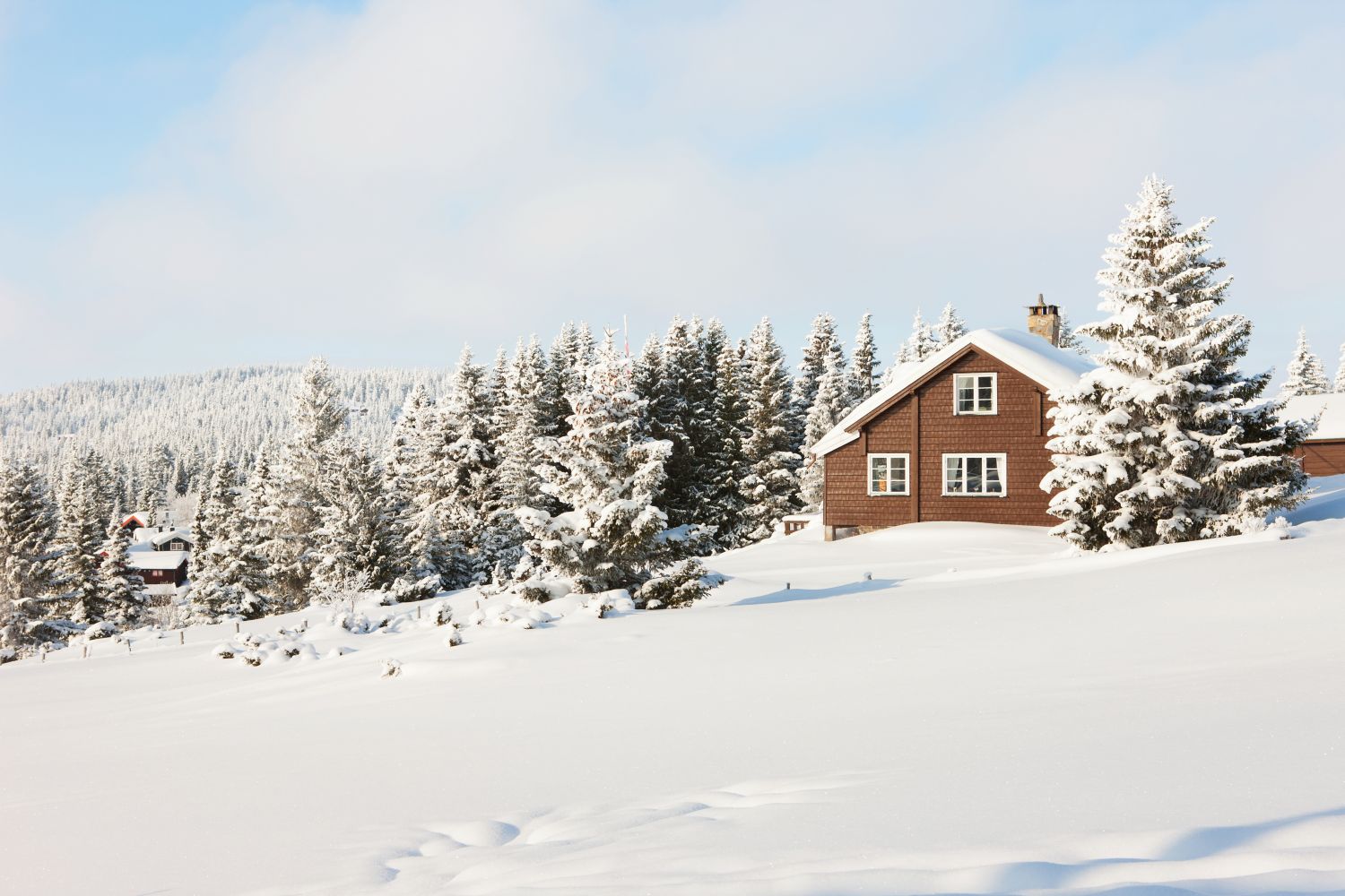 Cabin in winter landscape