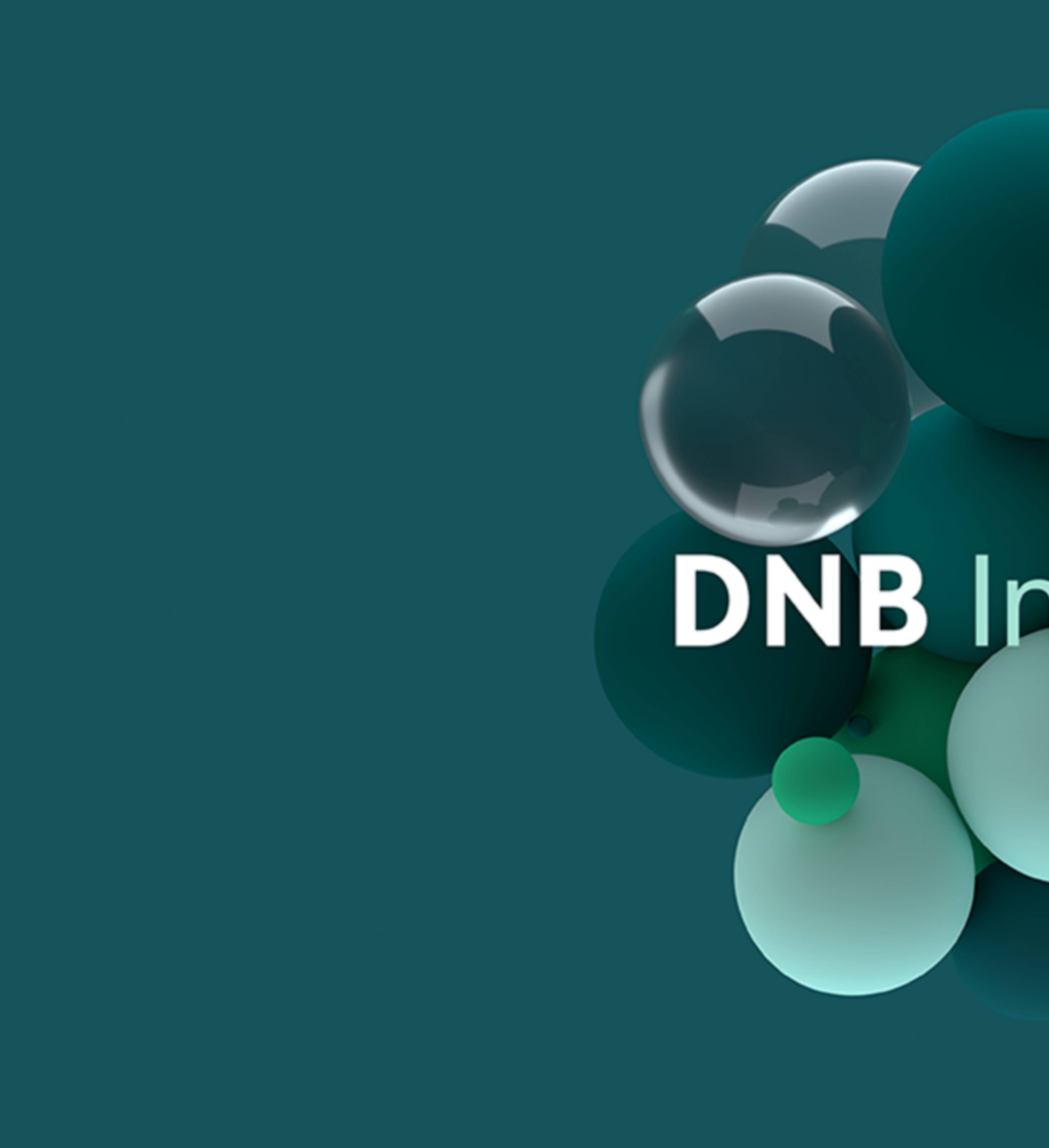DNB Invest 