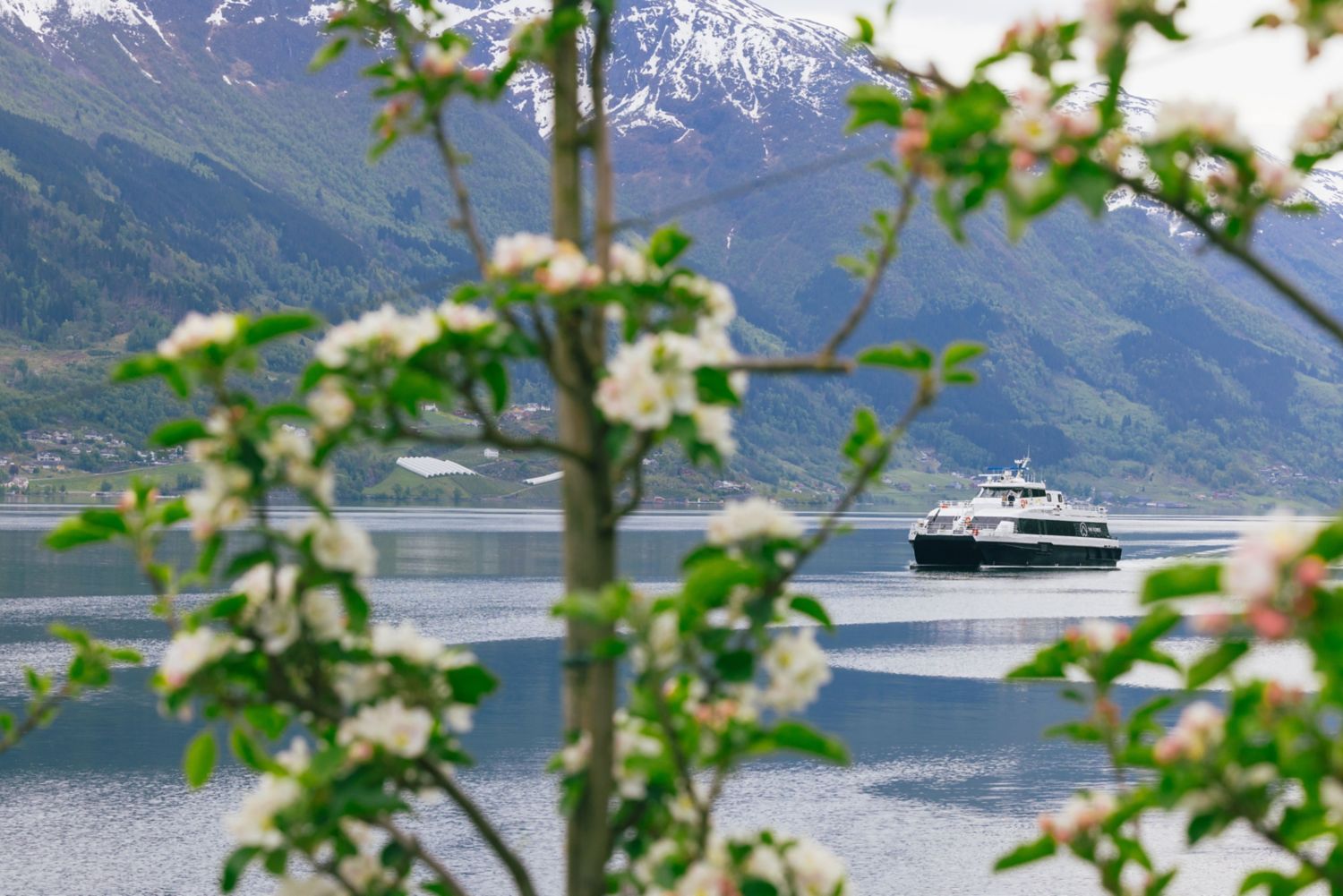 norway_s_best__fjord_cruise_hardanger-cover