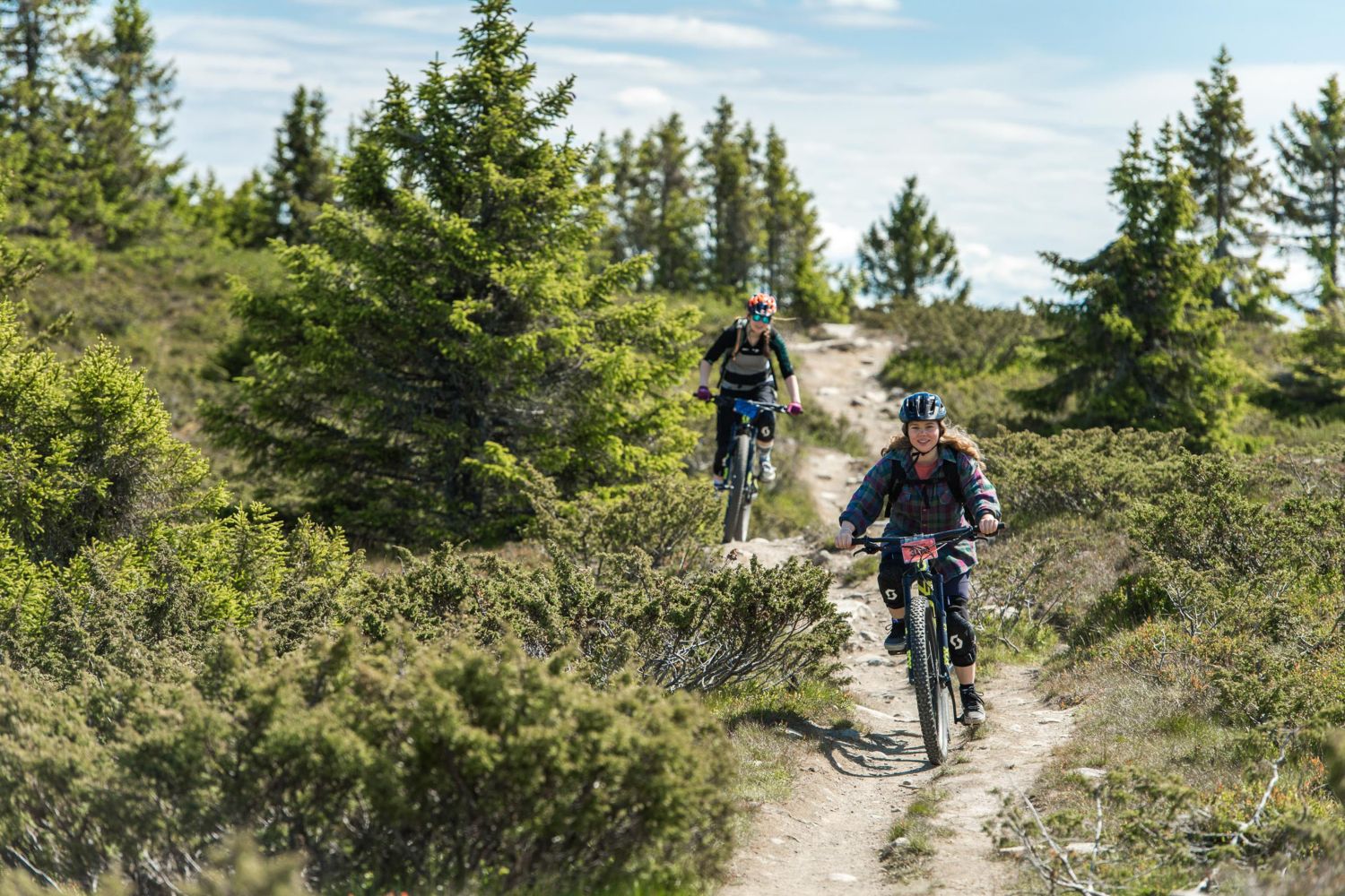 HafjellBikePark supersommer