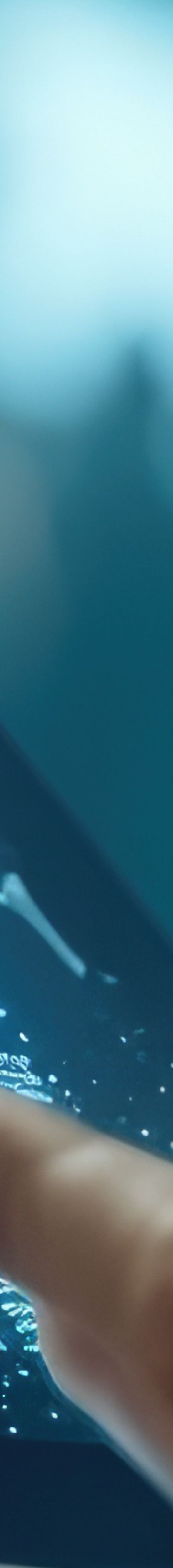 Healthcare Investment Access (HIA): Nordic Excellence, Global Opportunity