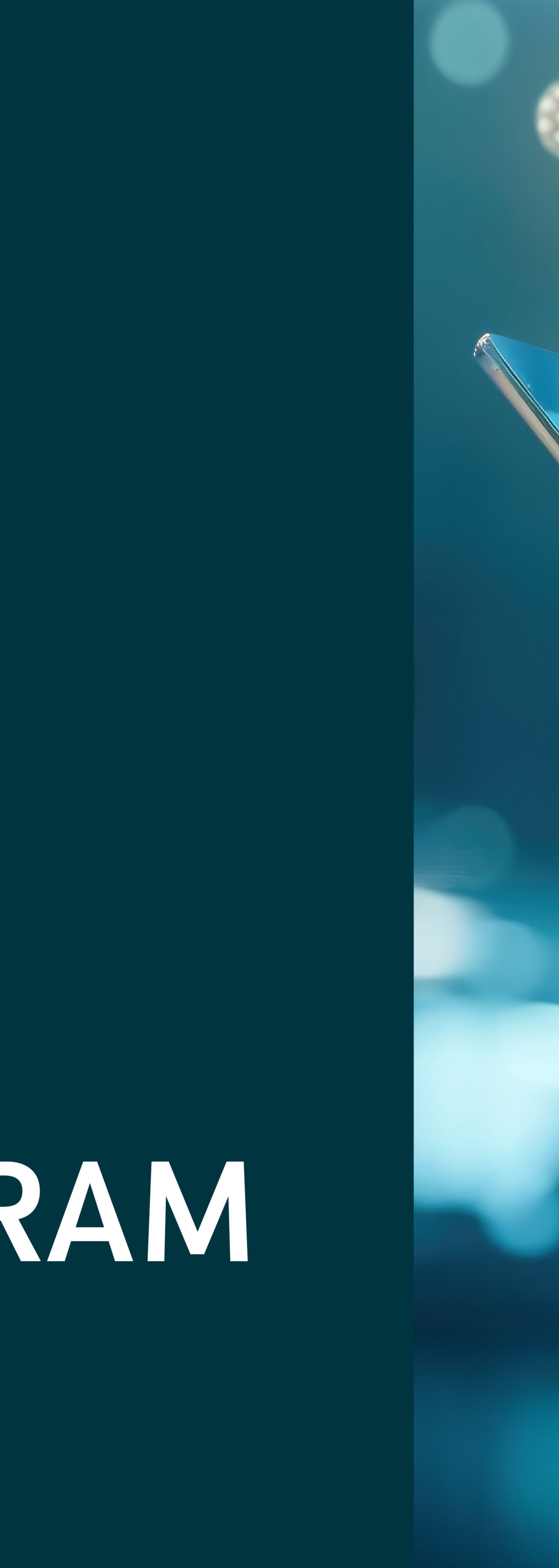 Healthcare Investment Access Program 