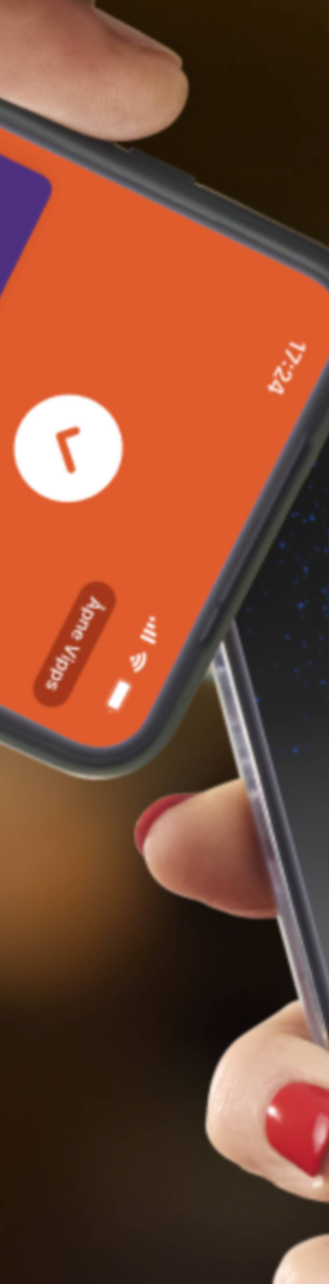 Vippskassa