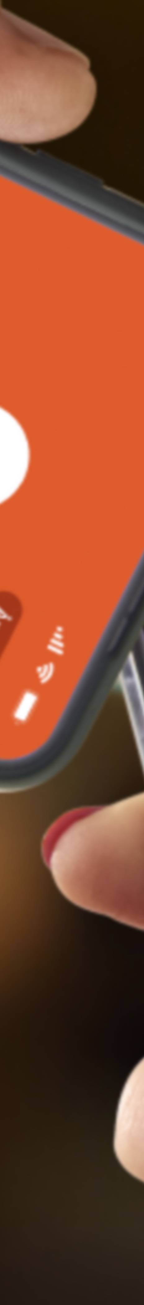 Vippskassa